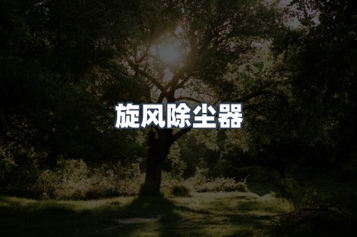 旋风除尘器